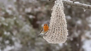 “Les oiseaux vont vous dire merci !” : ce DIY à faire en 10 secondes va leur être d’un précieux secours cet hiver