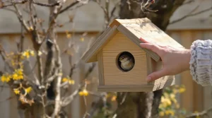 Oisillons : le geste crucial à faire avant la mi-mars pour sauver toutes les futures nichées