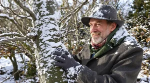 Protégez vos arbres fruitiers naturellement : le chaulage qui bloque vraiment maladies et parasites