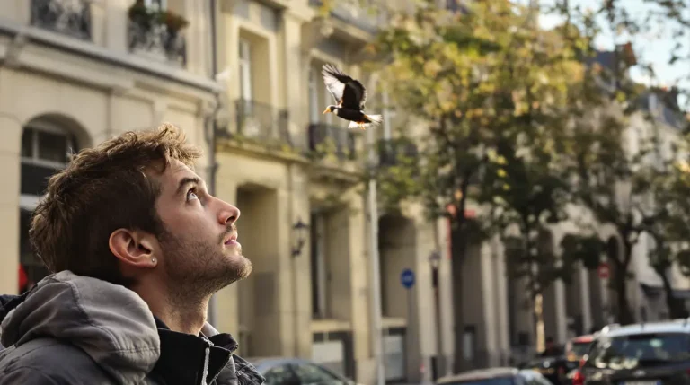 Rare en ville hier, désormais fréquent : cet oiseau majestueux s’installe hors des campagnes et offre un magnifique spectacle aux citadins