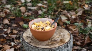 Rouges-gorges au jardin : ce soir, mettez dehors cet aliment de base à 3 centimes, que la plupart des jardiniers oublient